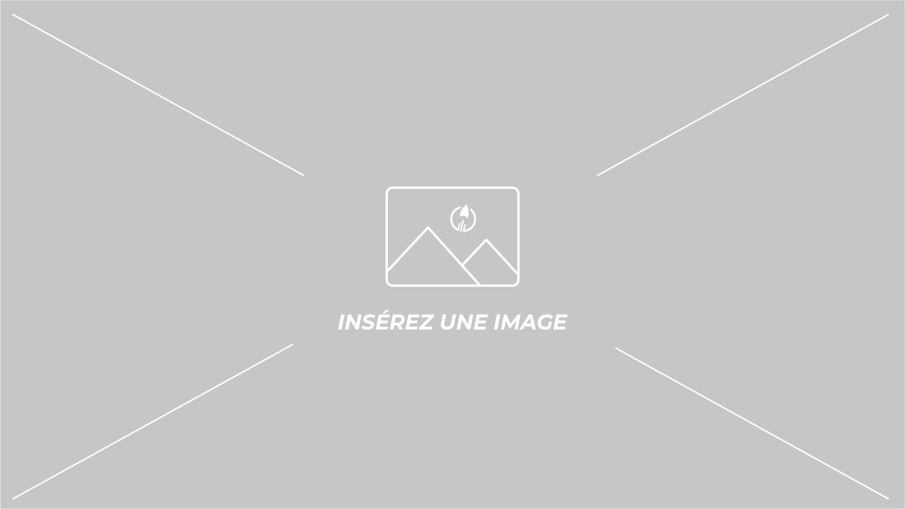 Automatisme et Programmation Industrielle